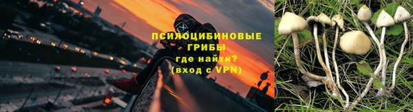 сатива Корсаков