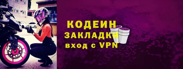 трава Коряжма