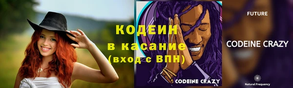 трава Коряжма