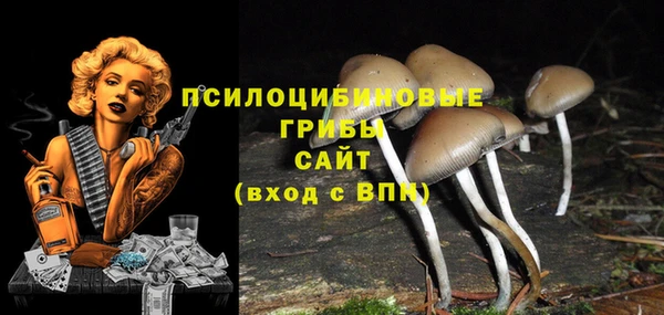 сатива Корсаков