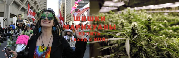 трава Коряжма