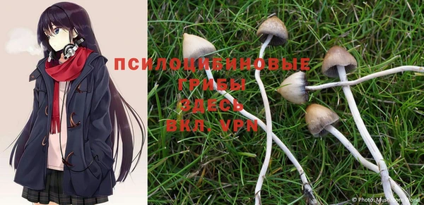 прущие крисы Костерёво