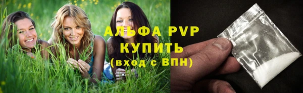 сатива Корсаков