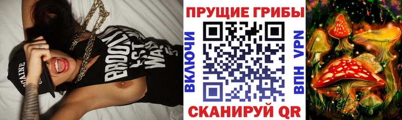 Галлюциногенные грибы MAGIC MUSHROOMS  Купить где  Болгар 